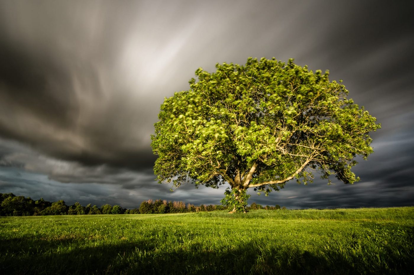 Torsten Christ - Summer Storm