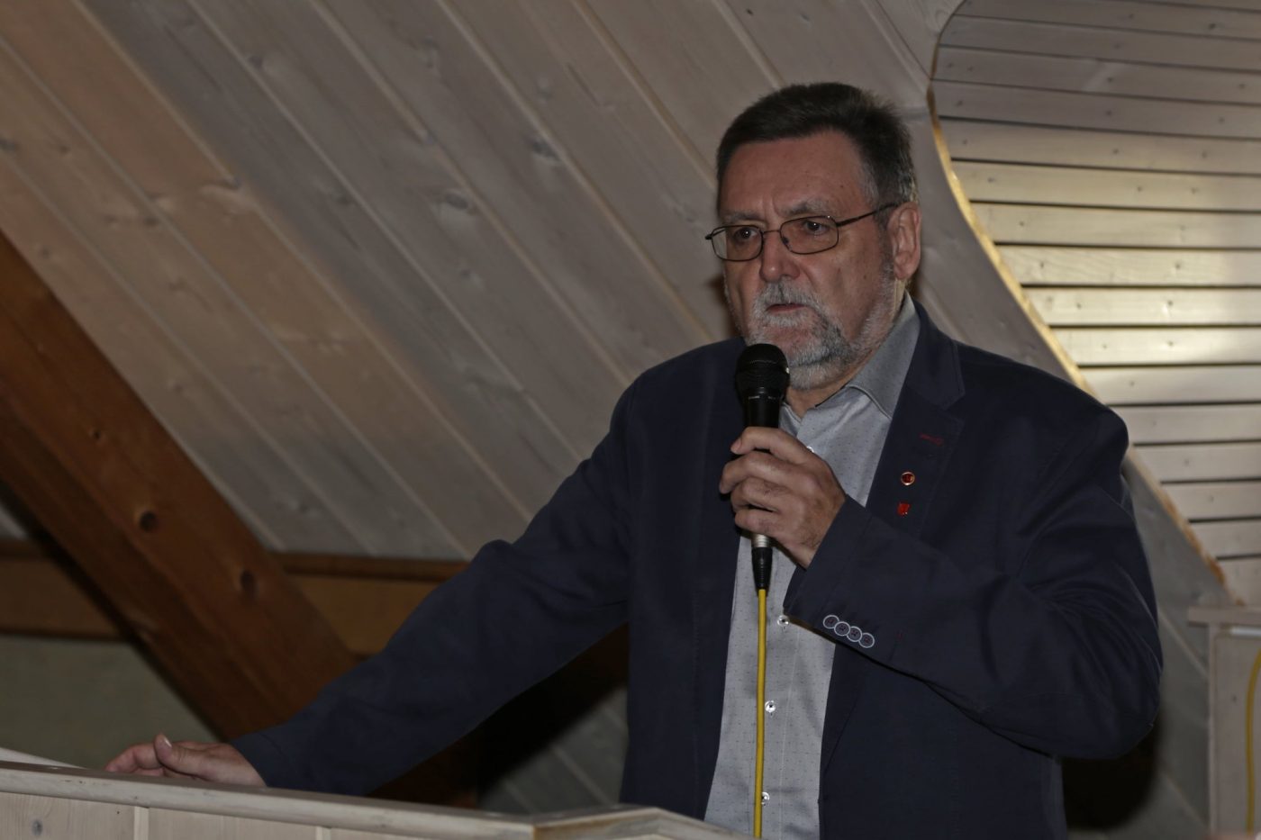 Vernissage - Foto: Günther Holzinger