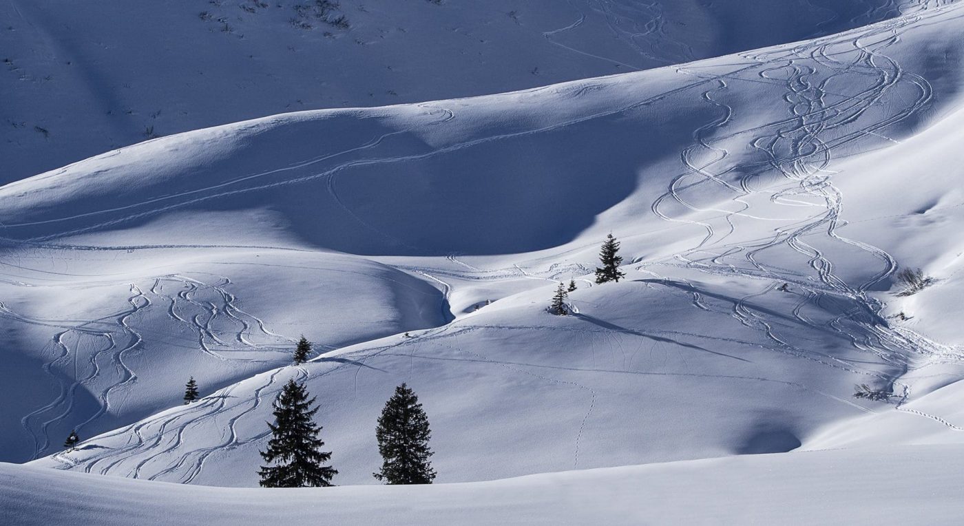 Maria Engelhardt - Spuren Im Schnee