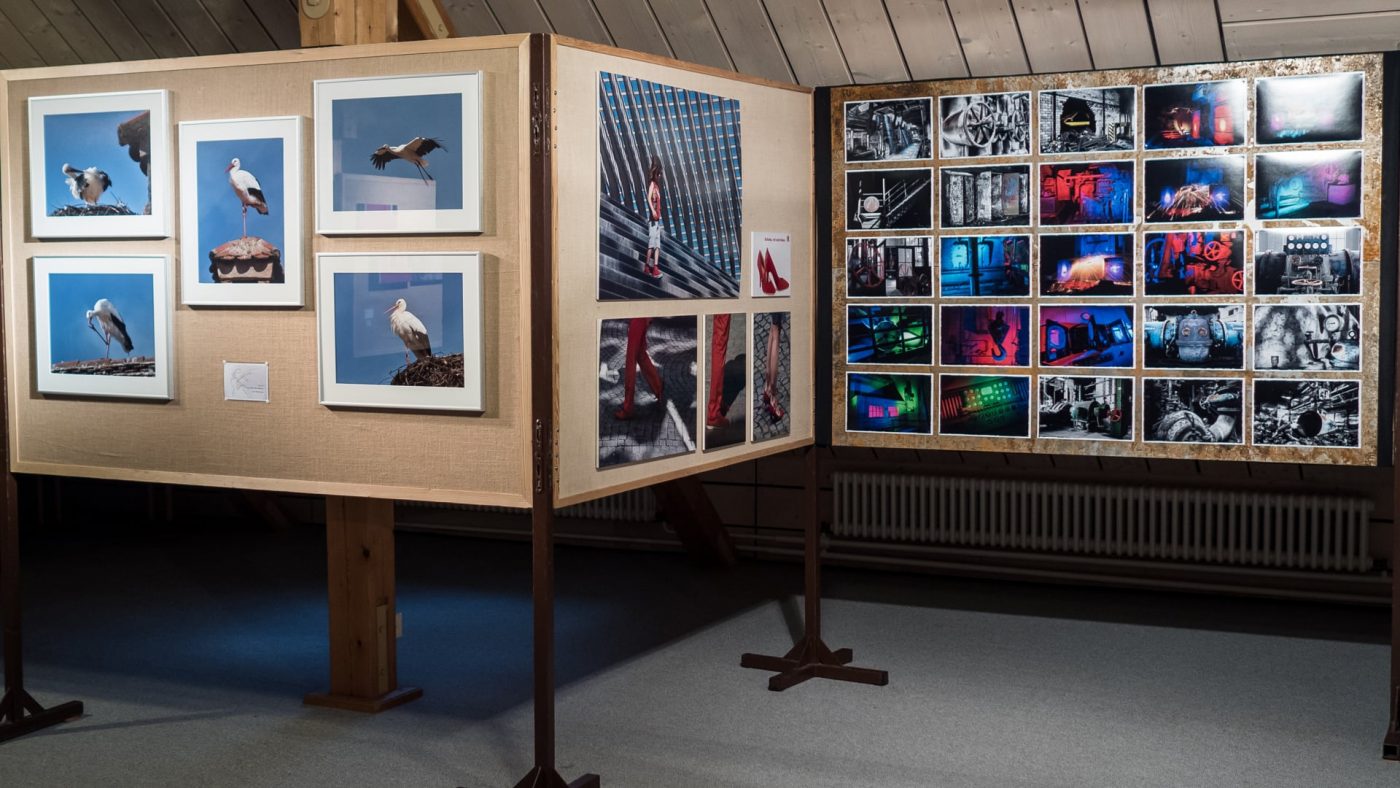 Vernissage - Foto: Friedrich Weigel