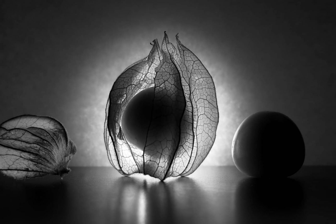 Physalis - von Reinhardt Schmidt