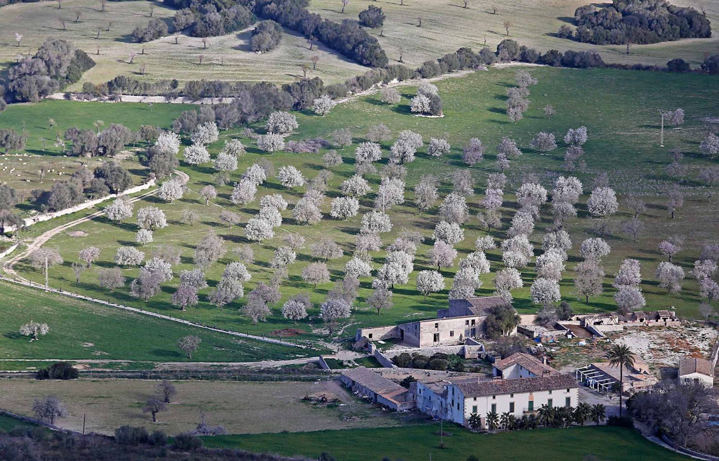 Mallorca - von Günther Holzinger
