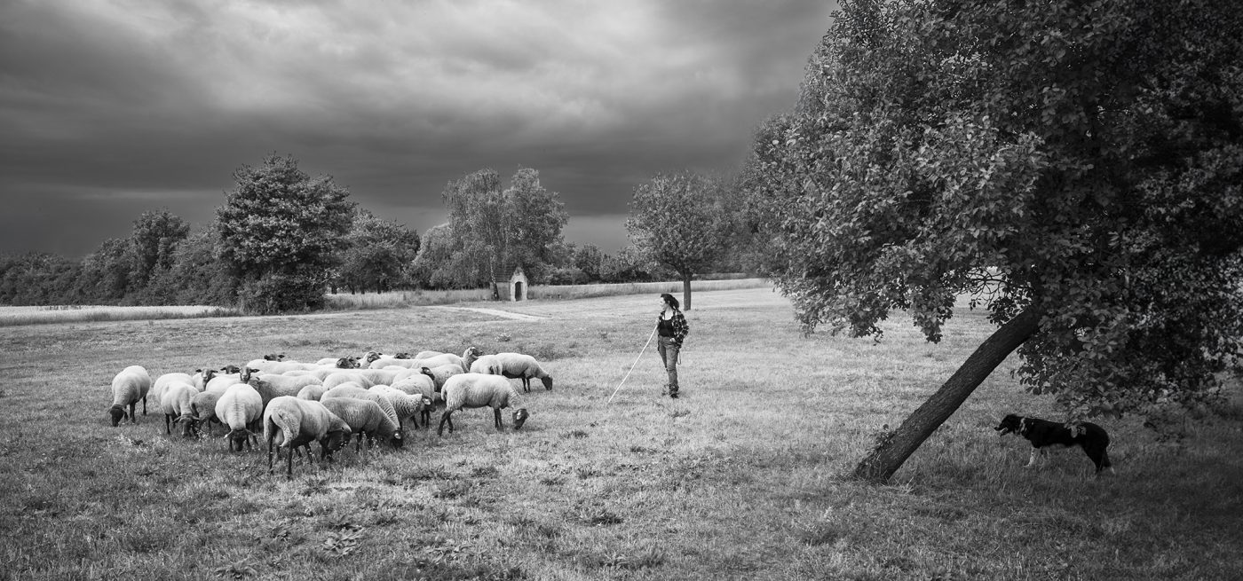 Ruhe vor dem Sturm - Foto: Sieglinde Hankele