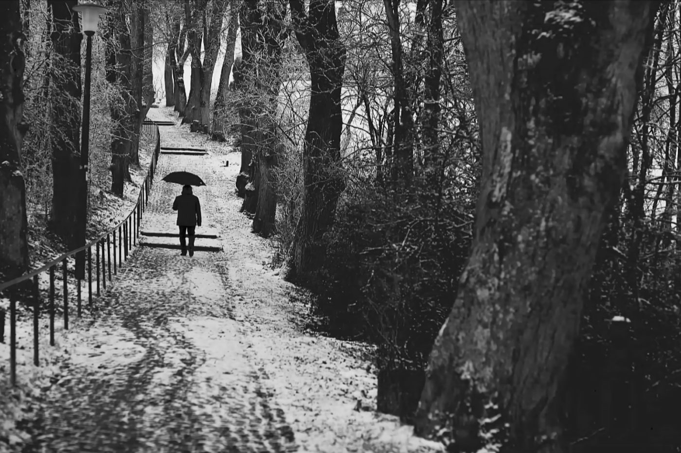 Nur zu Besuch - Vertonte Serie von Jürgen Maicher (per Klick zu YouTube)