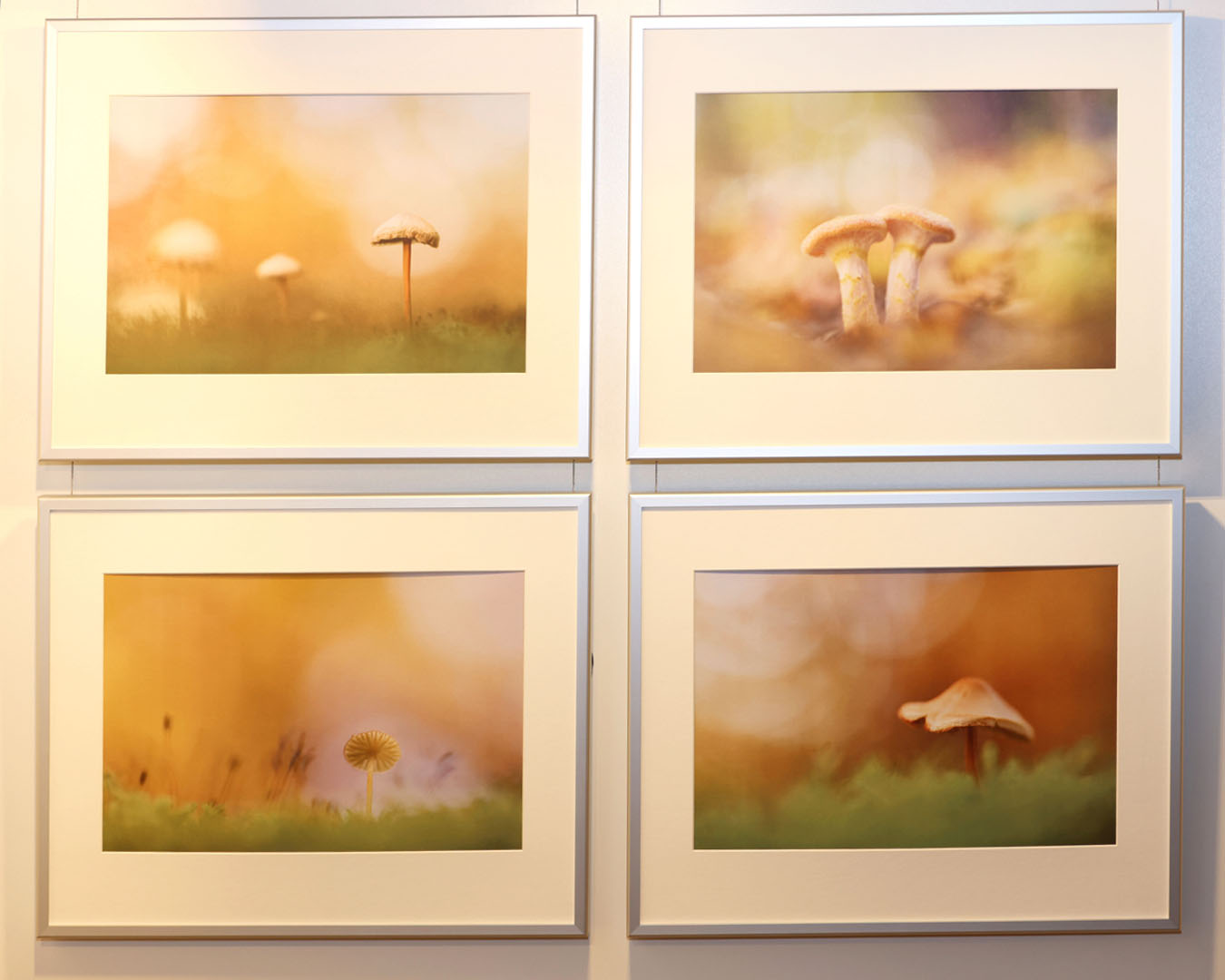 Sonderpreis für „Ein leichtes Pilzgericht“ von Torsten Christ