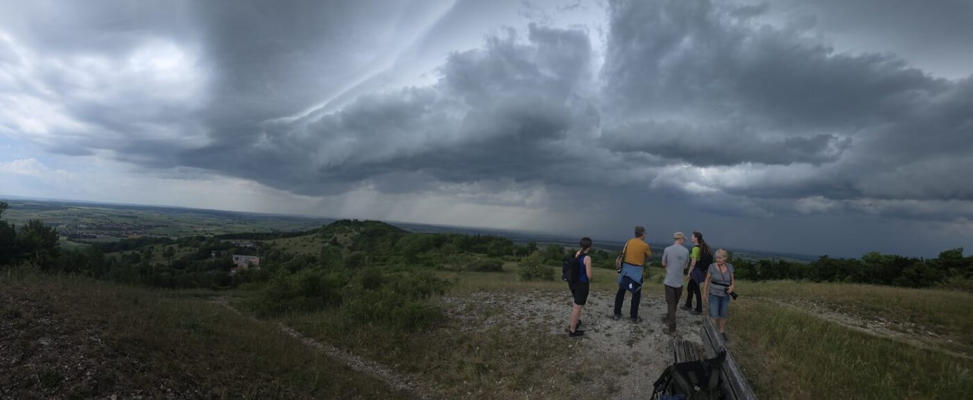 Spektakel am Himmel zum Abschluss der Kräuterwanderung - Foto: Maria Engelhardt