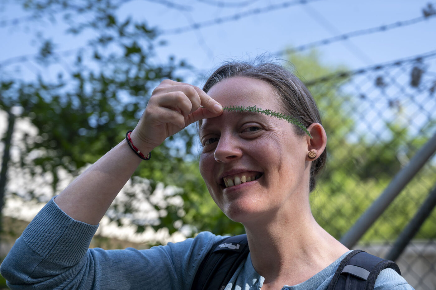 Schafgarbe, auch "Augenbrauen der Venus" - Foto: Sieglinde Hankele