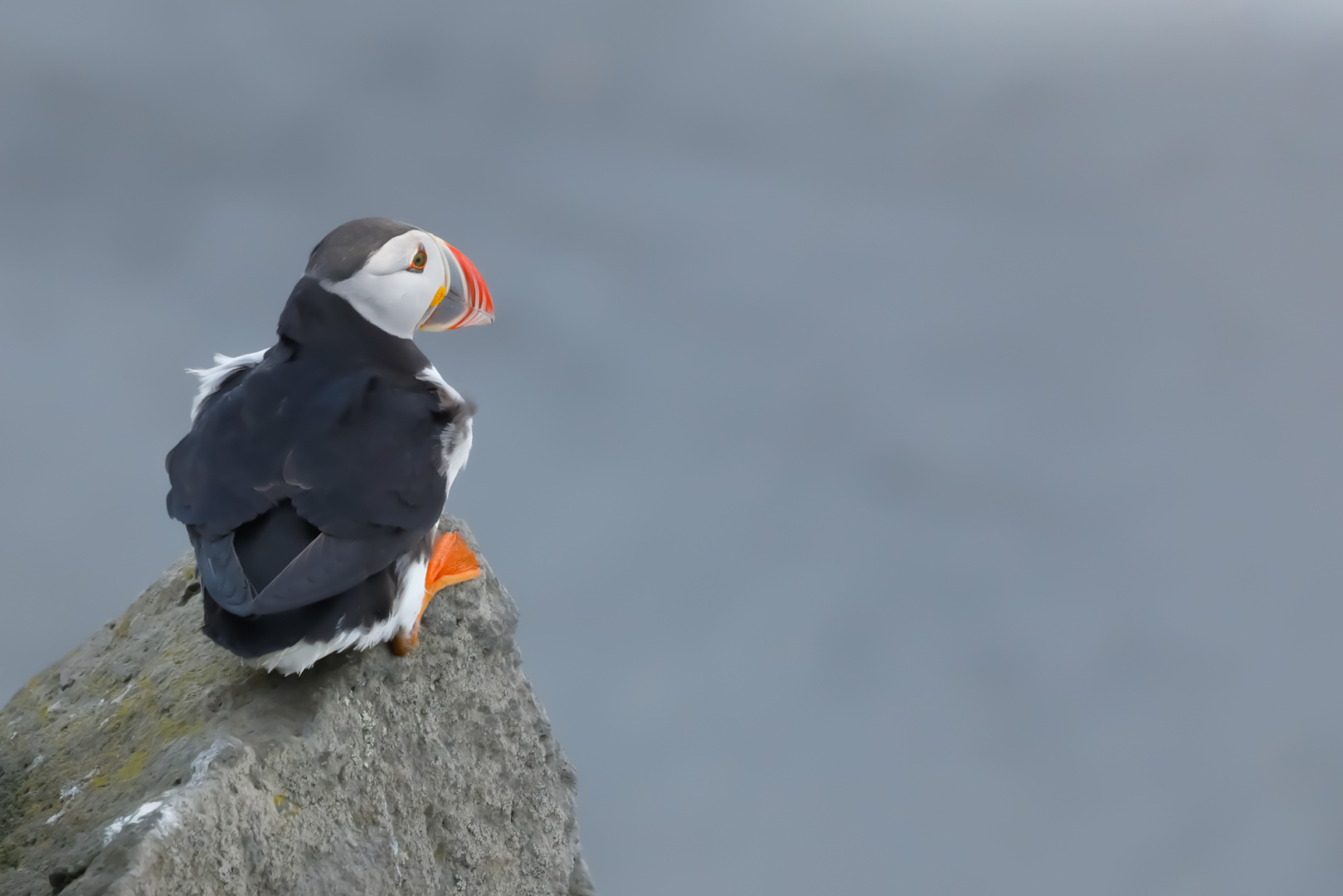 Aussichtspunkt - Foto: Tim Birmann