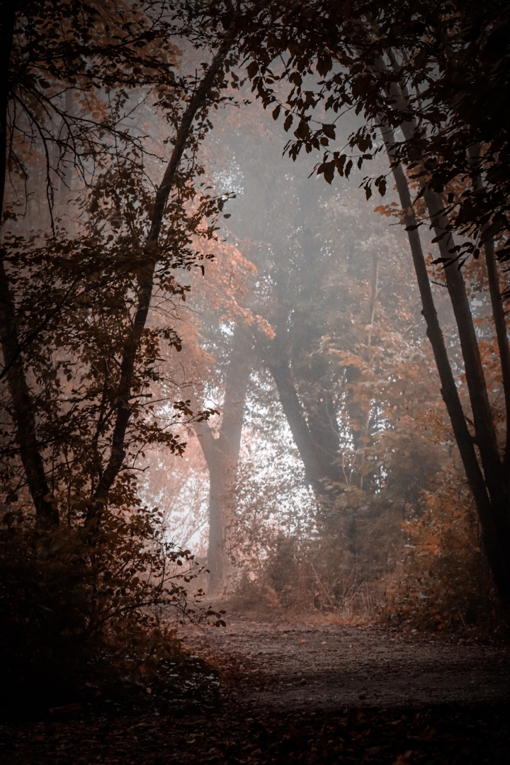 Malerweg - von Volker Birmann