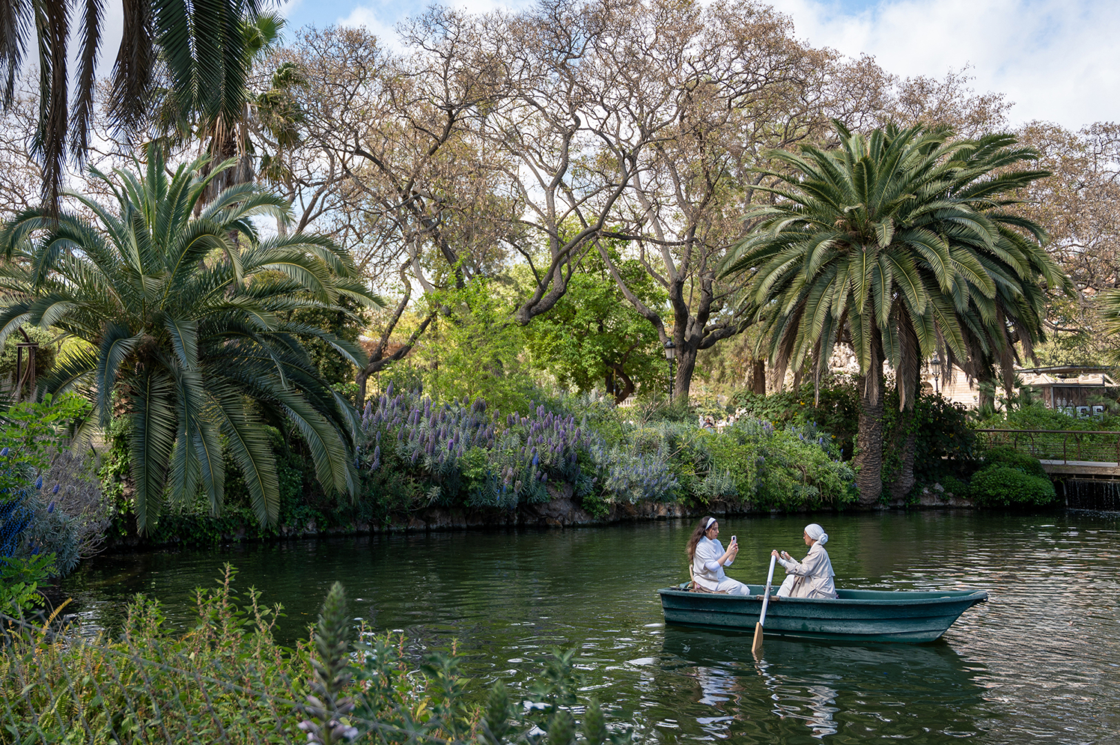 Primavera - Foto: Sieglinde Hankele