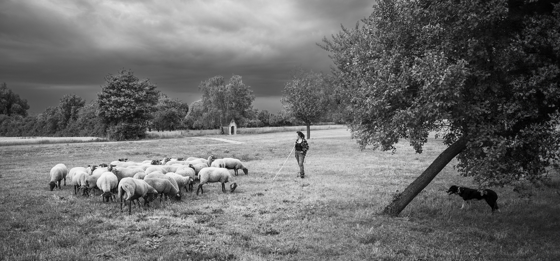 Bild des Monats 09/2025