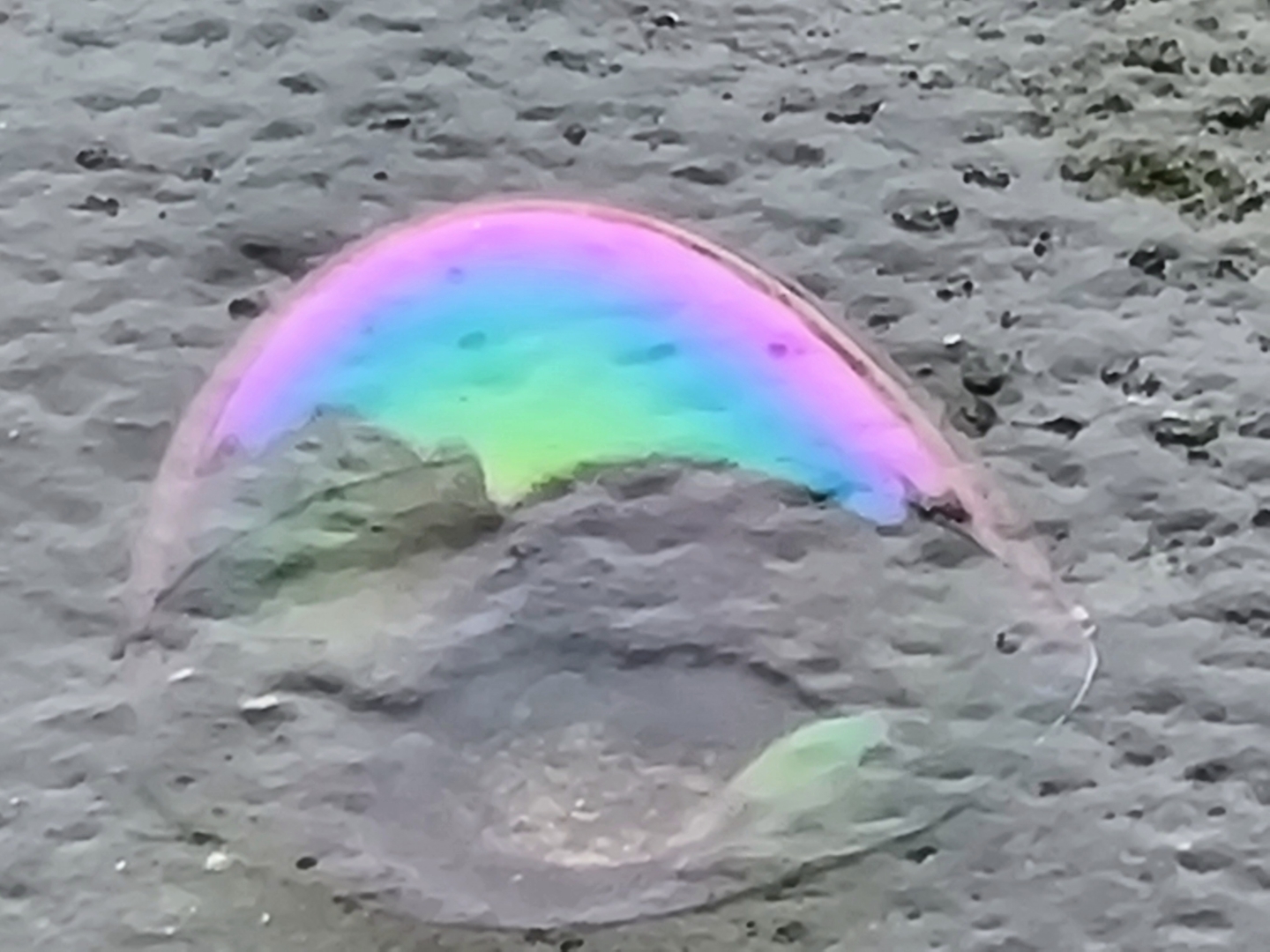 Seifenblase - Foto: Martin Lind