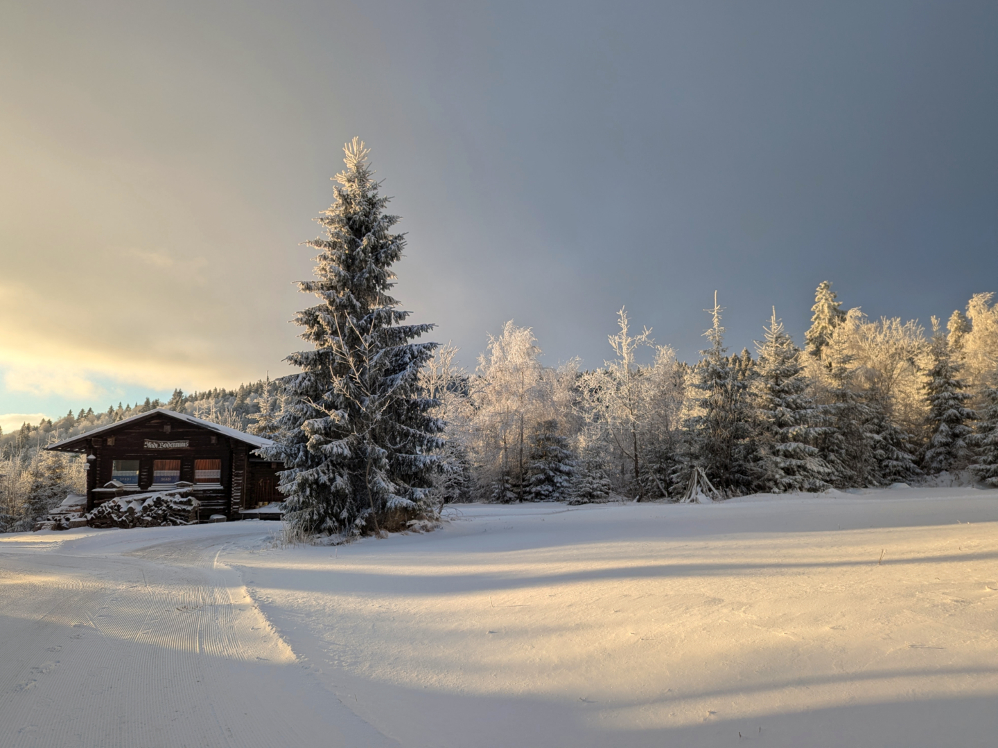 Winterland - Foto: Edith Sichtar