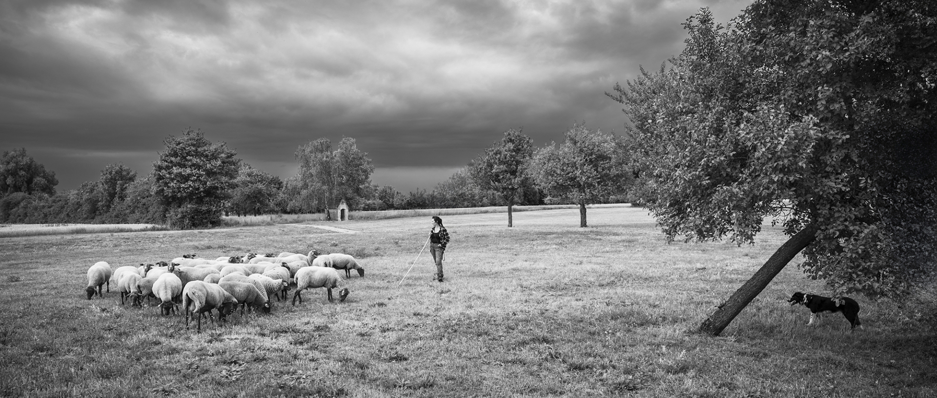 Ruhe vor dem Sturm - Annahme für Sieglinde Hankele