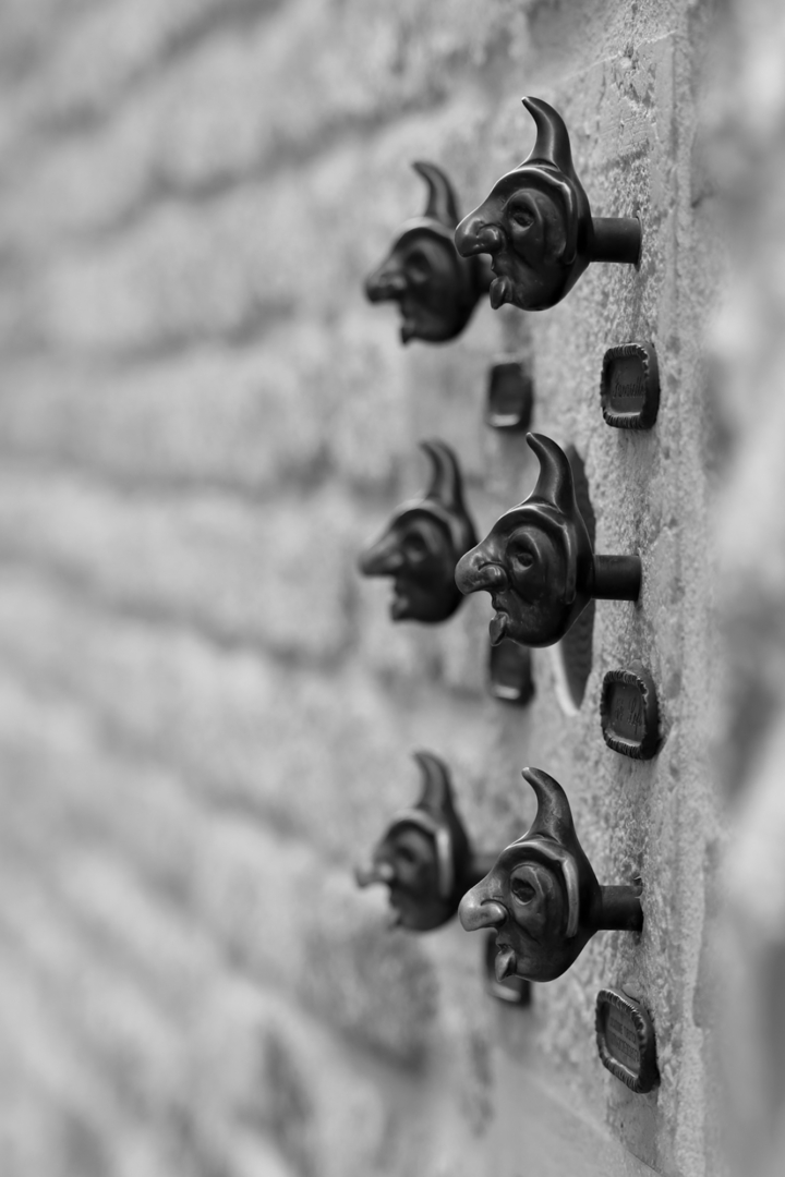 Schabernack - von Tanja Birmann