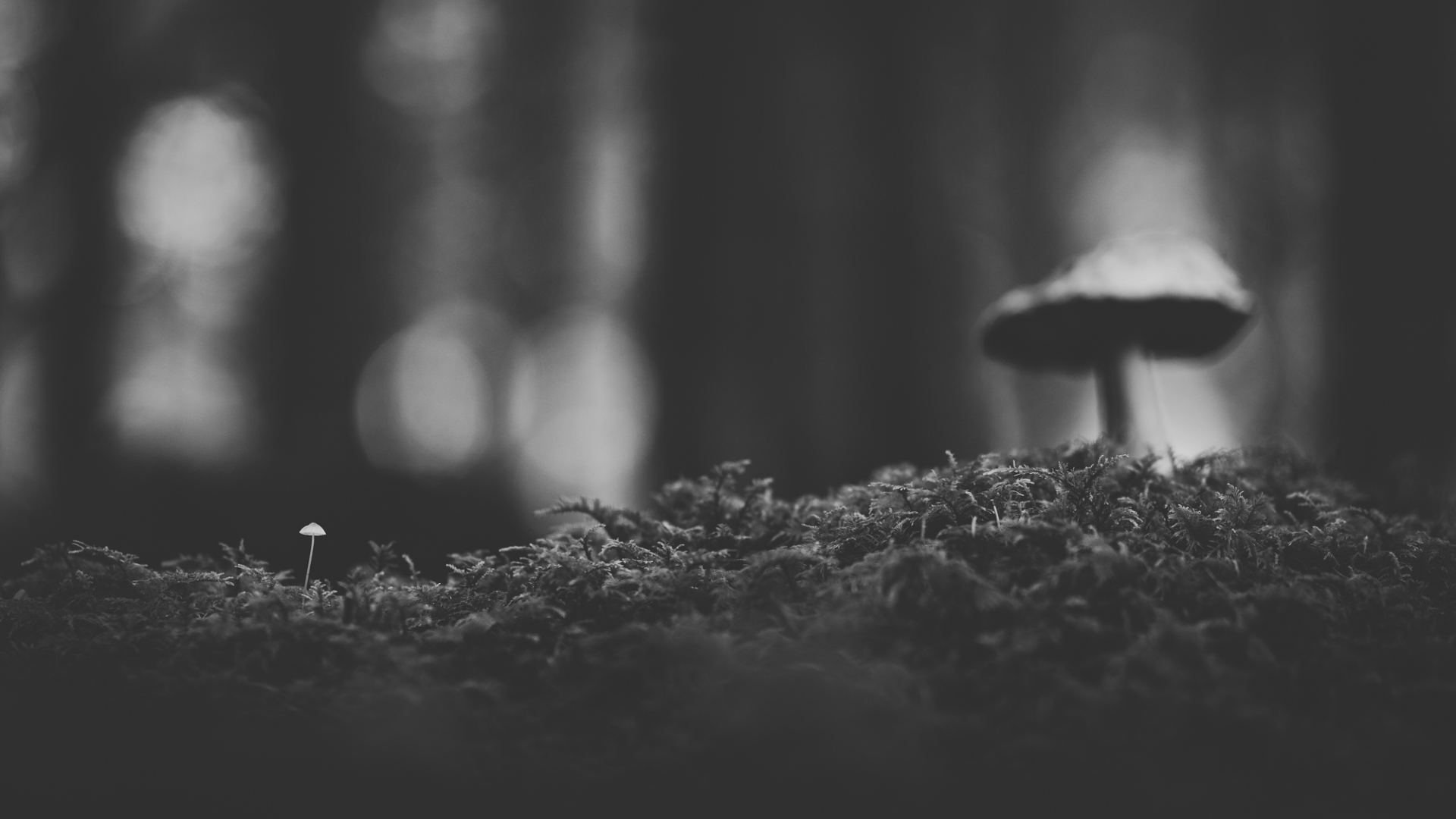 Unter Beobachtung - von Torsten Christ