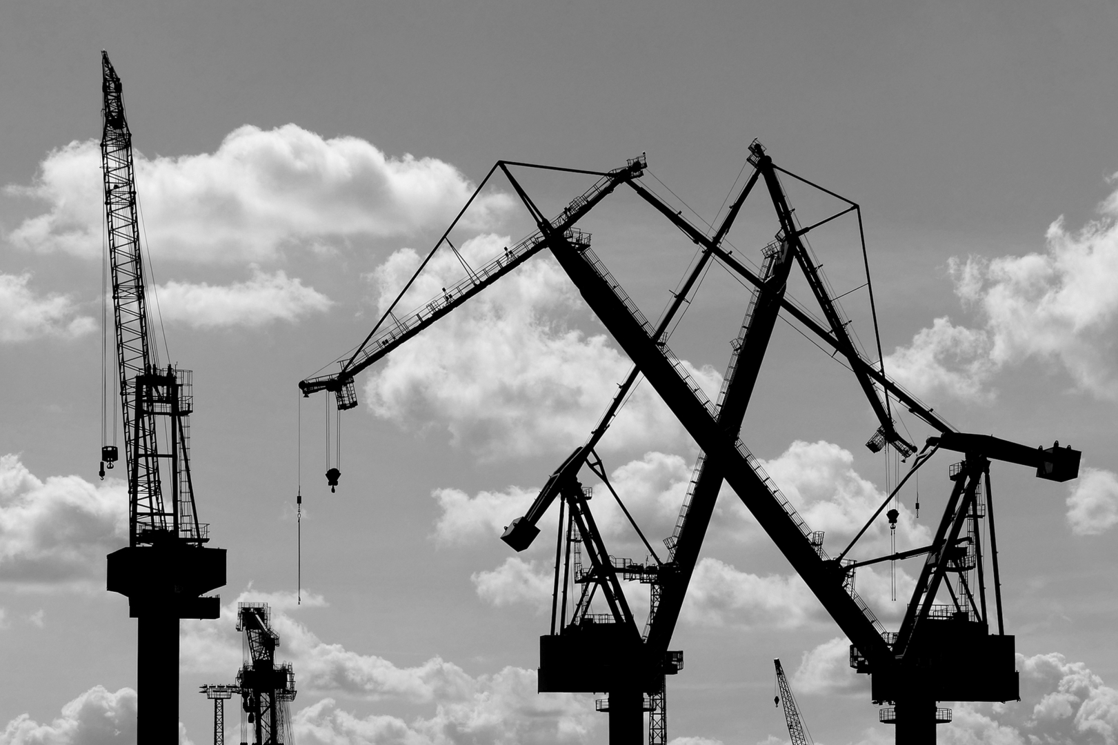 Hafenkräne - Foto: Erich Hacker