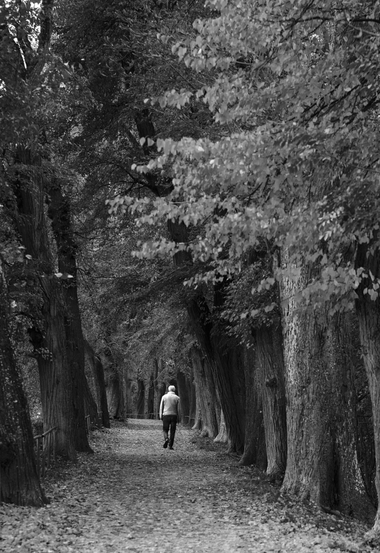 1. Quartalswettbewerb 2026 – Schwarzweiß