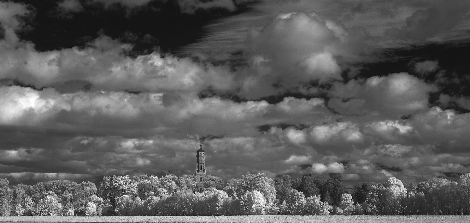 Nerle - Foto: Hermann Waltz