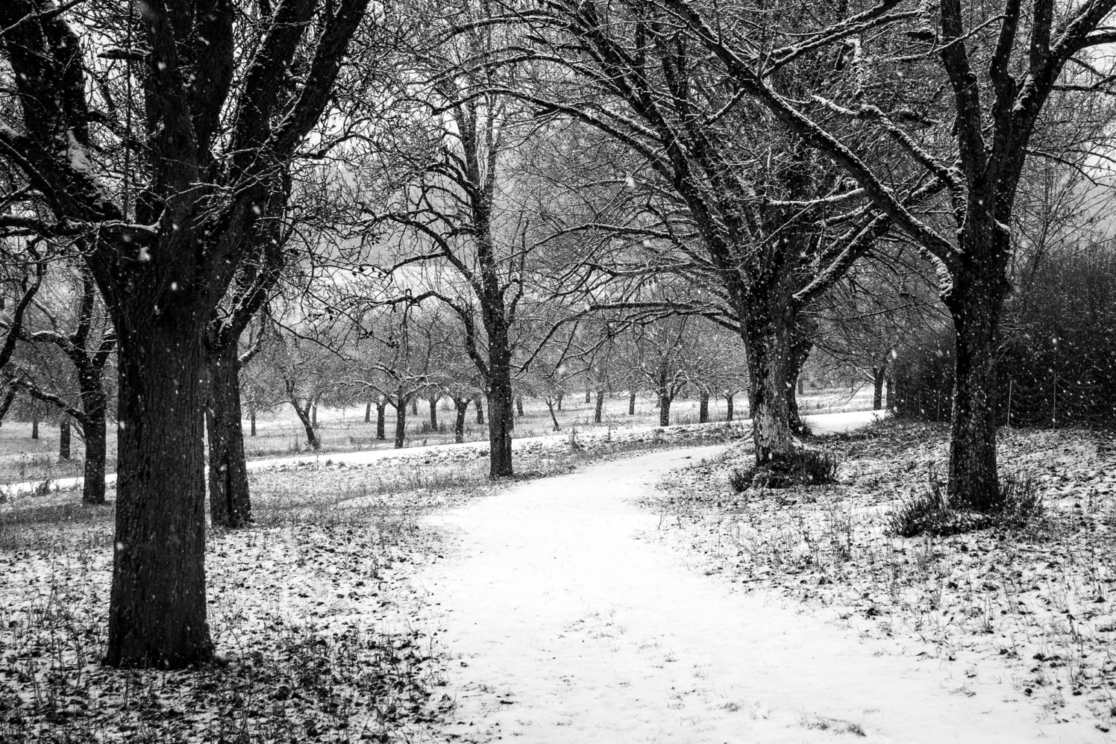 Schneefall - von Friedrich Weigel