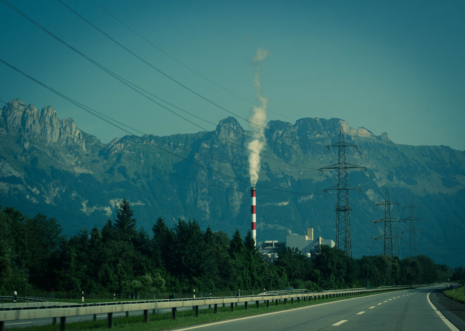 Die Grüne Wiese im Blick - Foto: Marina Becker