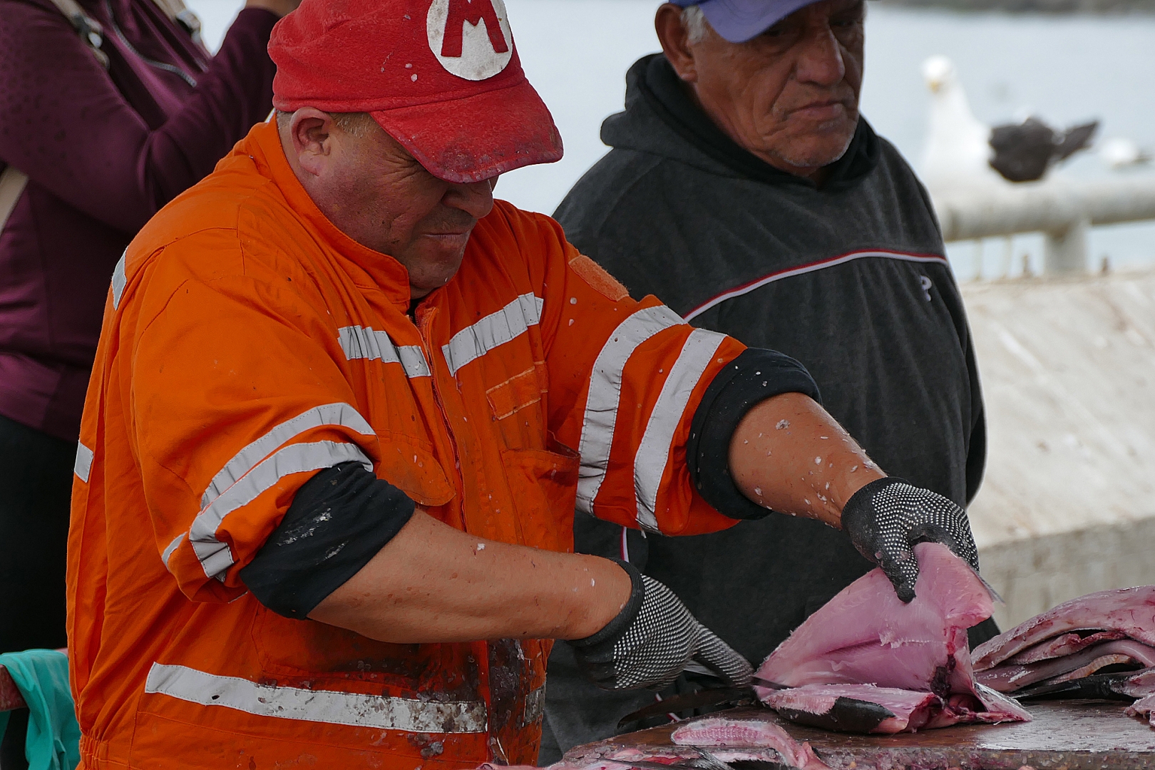 Der Fischschlachter - von Erich Hacker
