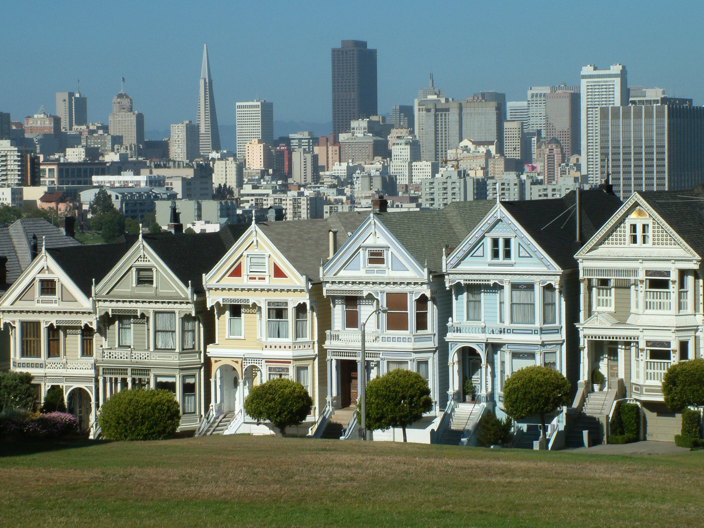 Frisco and the Painted Ladies - Foto: Tanja Birmann