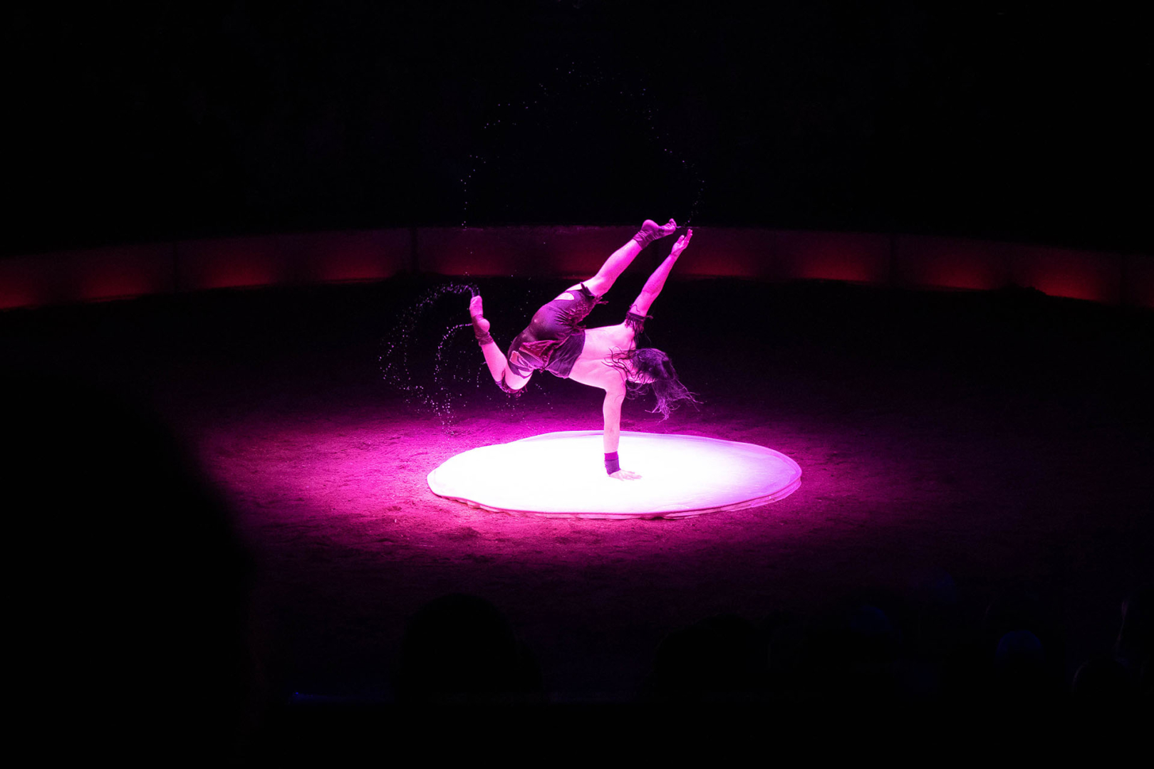 Akrobat in der Manege - von Sieglinde Hankele