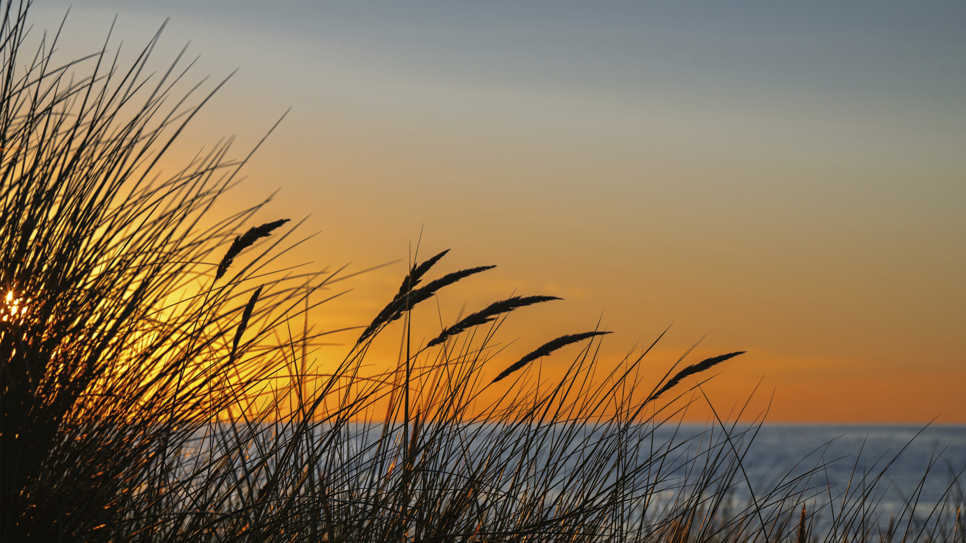 Ostseestrand - Foto: Johannes Heumann