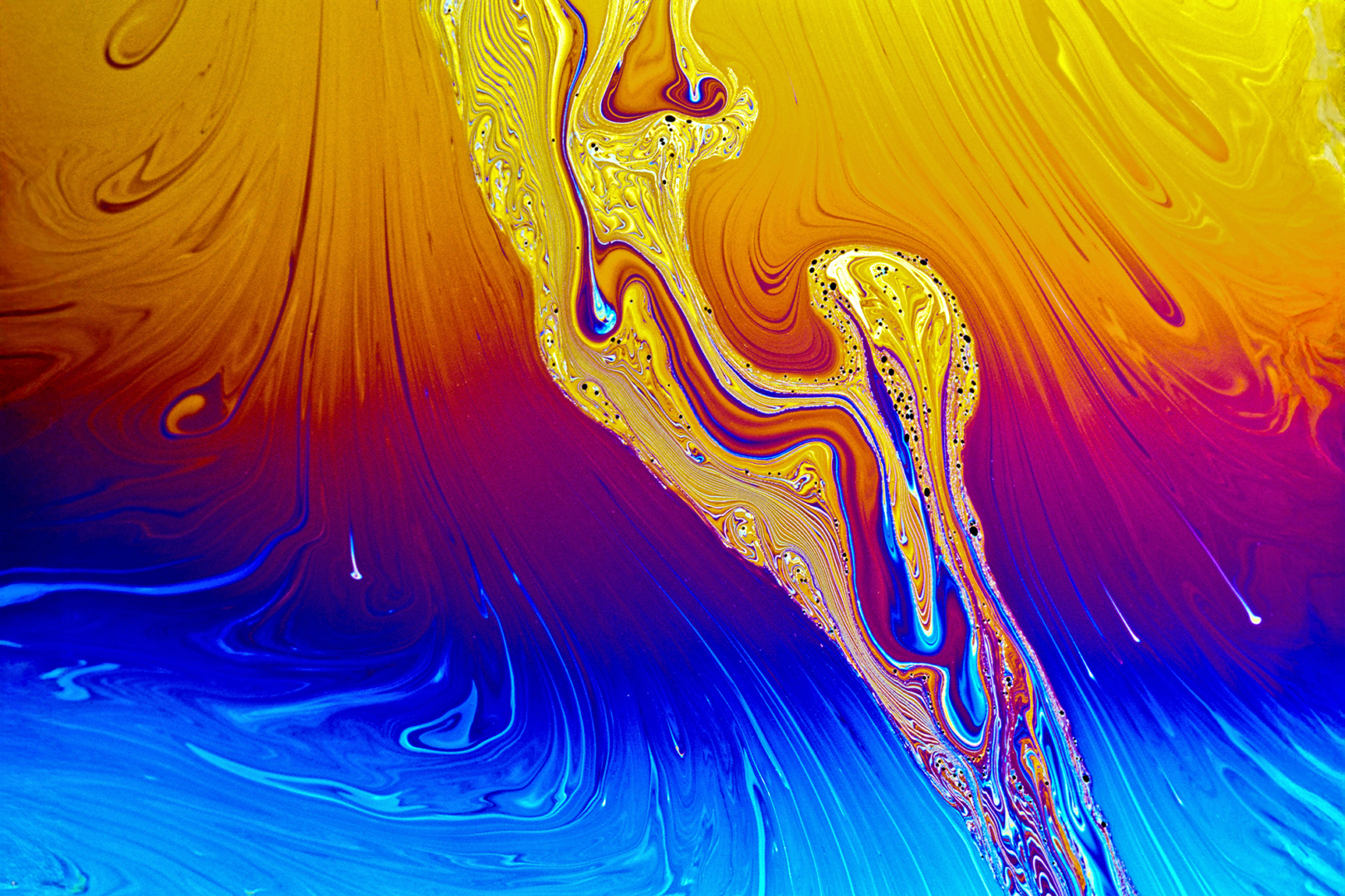 Erfolge beim 4. Quartalswettbewerb 2025 des DVF Bayern