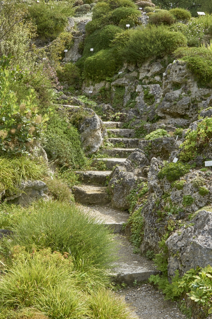 Botanischer Garten - Foto: Matthias Bayer