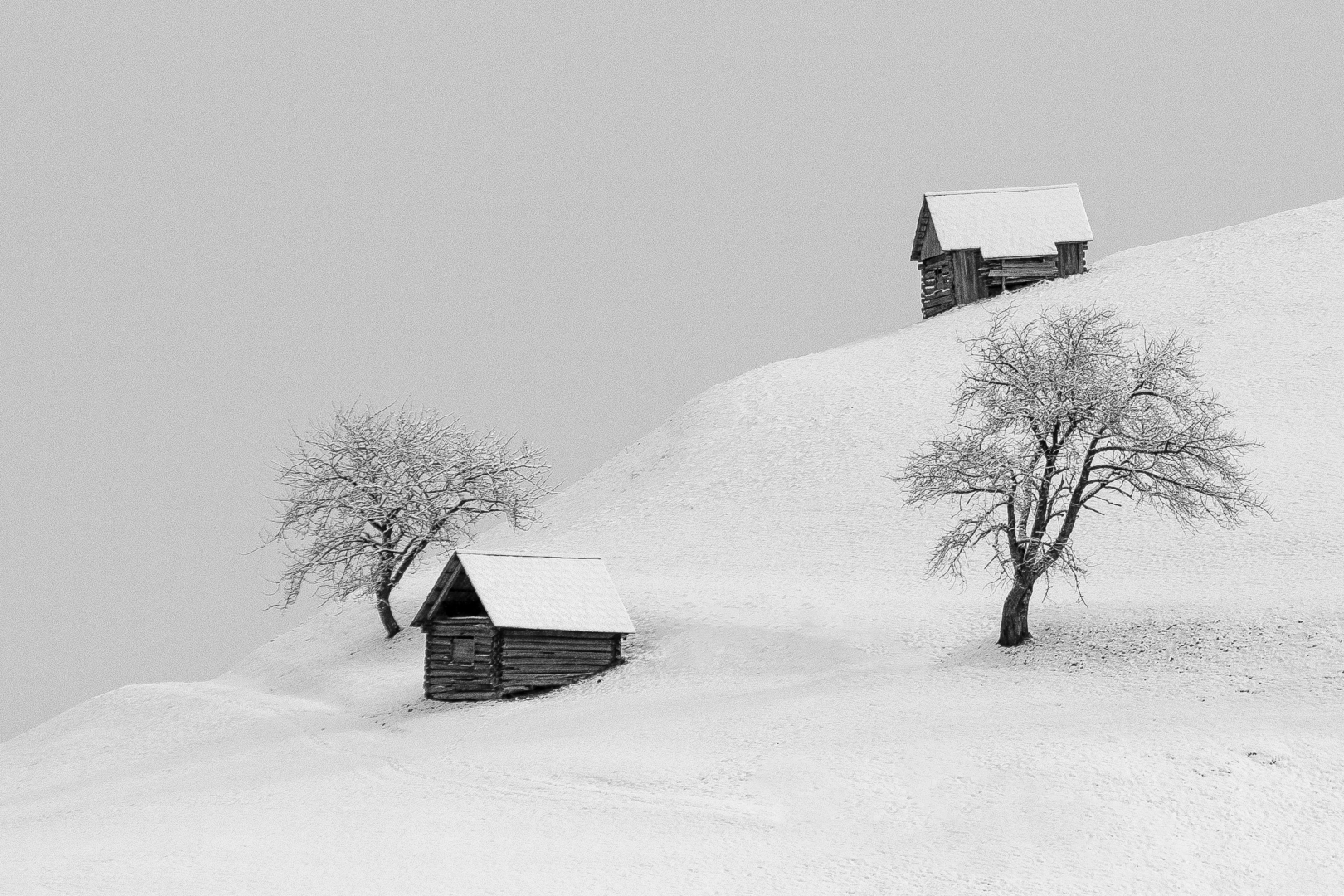 Winterwonderland - Foto: Tanja Birmann