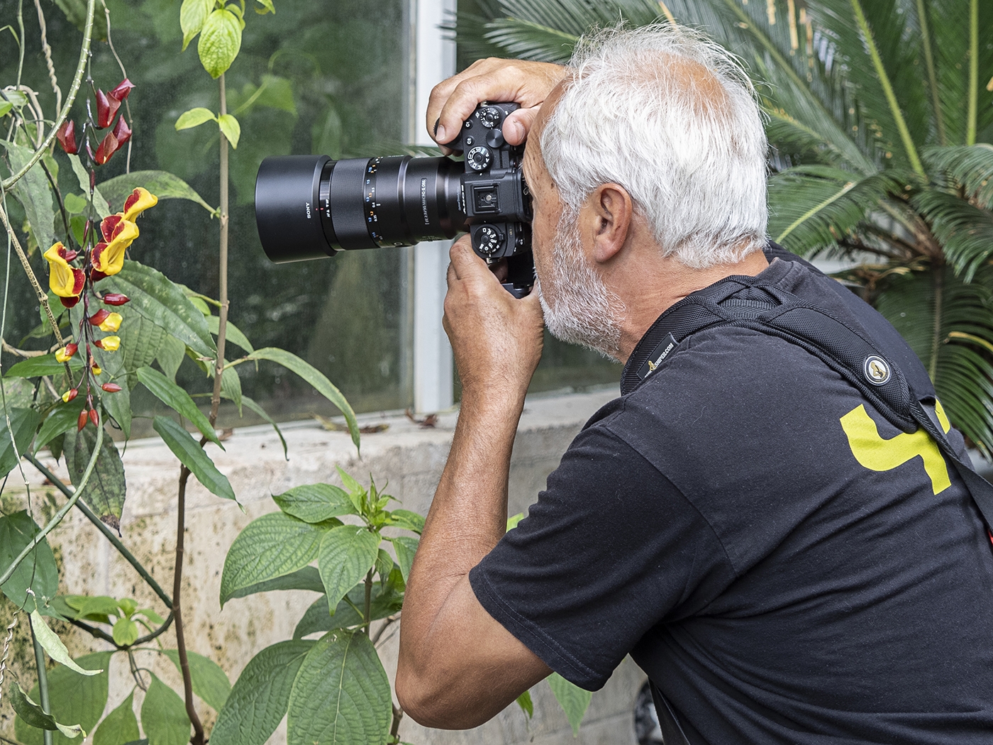 Fotografie im Botanischen Garten - Foto: Oswald Engelhardt