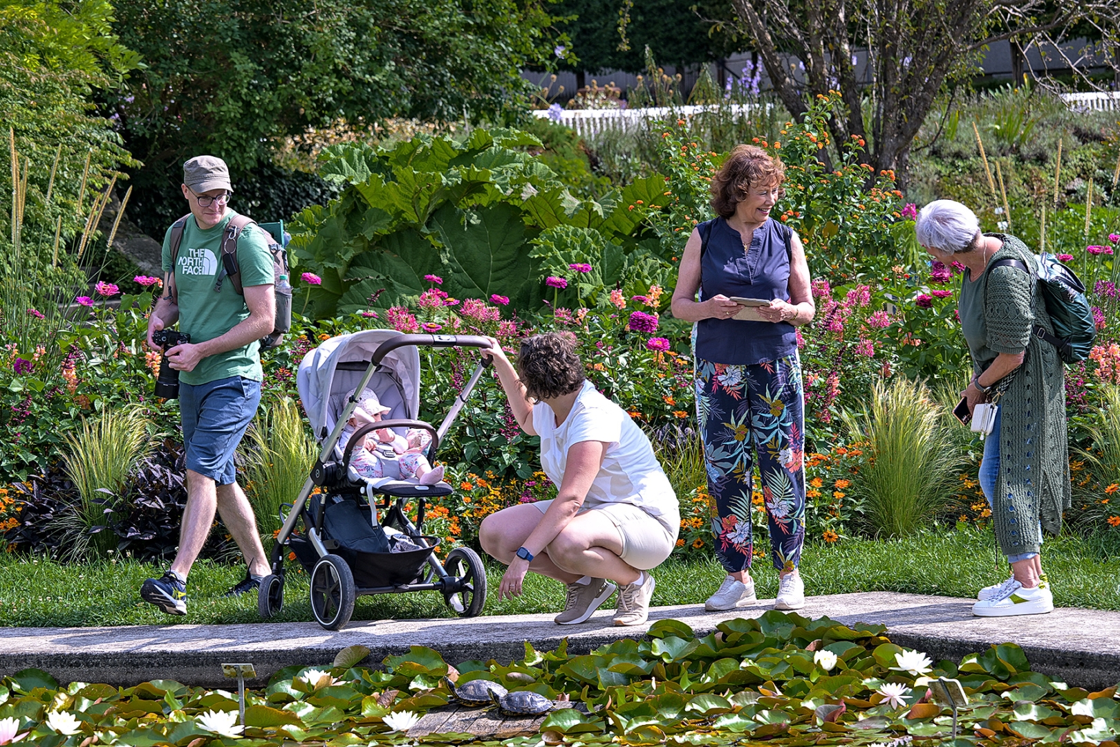 Ausflügler am Seerosenteich im Botanischen Garten - Foto: Johannes Heumann