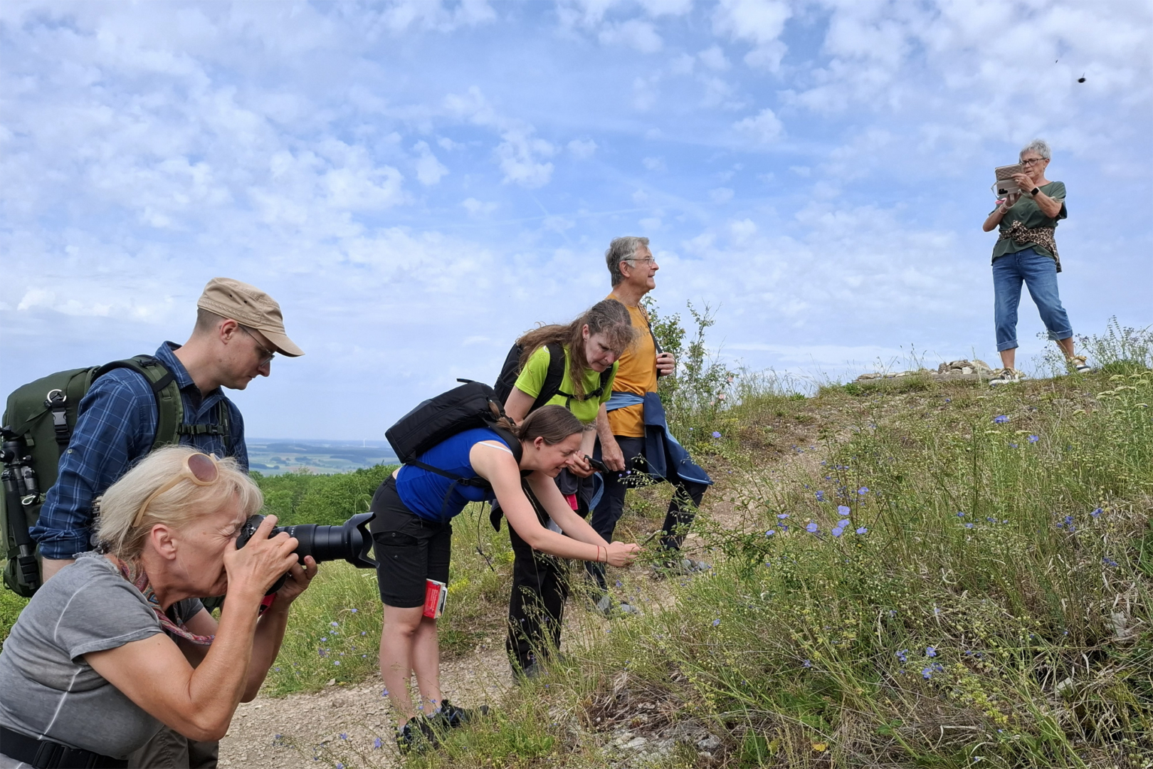 Kräuter im Fokus - Foto: Friedrich Weigel